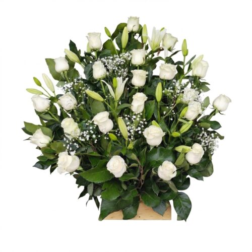Abanico de Condolencias