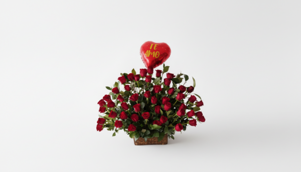 Abanico de 50 Rosas Rojas Ecuatorianas