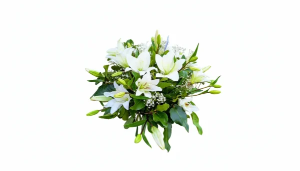Cubre Urna de Lilium Blanco
