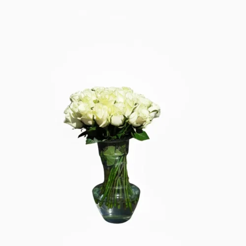 Florero de 50 rosas Blancas