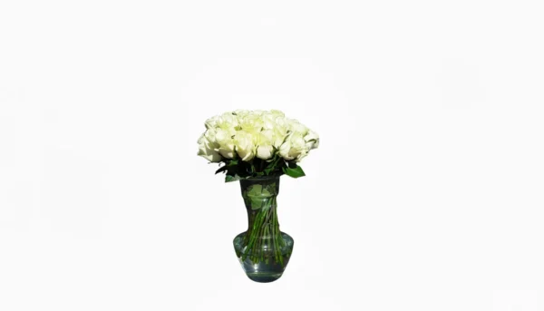 Florero de 50 rosas Blancas