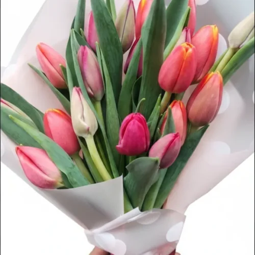 Ramo de 20 Tulipanes